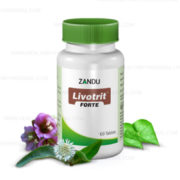 buy Zandu Livotrit Forte in Delhi,India