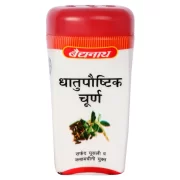 buy Baidyanath Dhatupaushtic Churna in Delhi,India