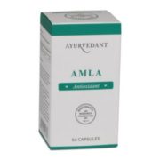 buy Ayurvedant Amla 60 Capsules for Hyperacidity in Delhi,India