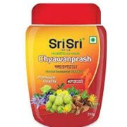 buy Sri Sri Tattva Chyawanprash in Delhi,India