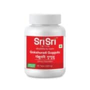 buy Sri Sri Ayurveda Gokshuradi Guggulu in Delhi,India