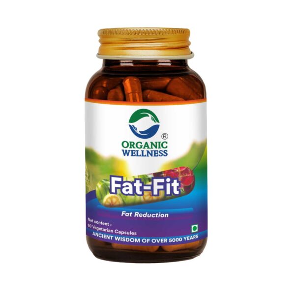 buy Organic Wellness Fat-Fit Capsules in Delhi,India