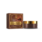 buy Khadi Natural Herbal Lip Balm (Chocolate Flavour) 5g in Delhi,India