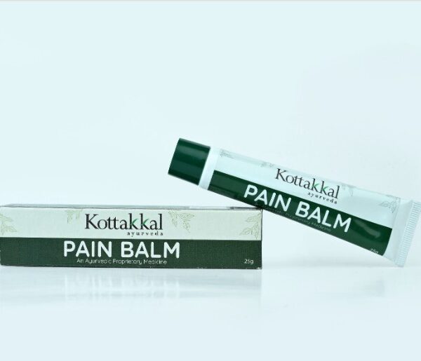buy Arya Vaidya Sala Pain Balm/Ointment in Delhi,India