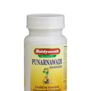 buy Baidyanath Punarnawadi Mandoor Tablet in Delhi,India