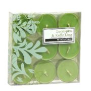 buy Rosemoore Scented Tea Lights Eucalyptus & Kaffir Lime Candles in Delhi,India