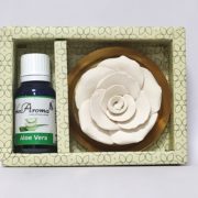buy Flower Diffuser Gift Set with Aloe Vera Vaporizer Oil By Mr. Aroma in Delhi,India