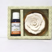 buy Flower Diffuser Gift Set with Harshringar Vaporizer Oil By Mr. Aroma in Delhi,India