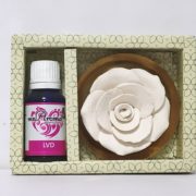 buy Flower Diffuser Gift Set with LVD Vaporizer Oil By Mr. Aroma in Delhi,India