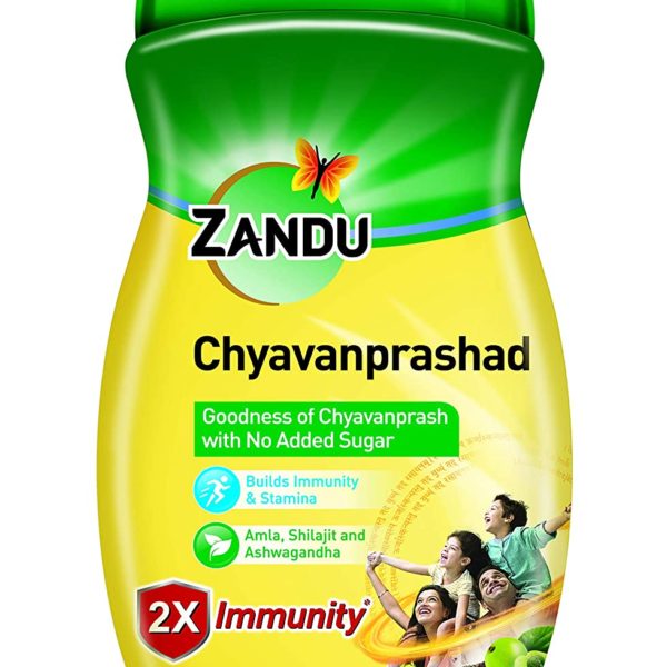 buy Zandu Chyawanprash Sugar Free in Delhi,India