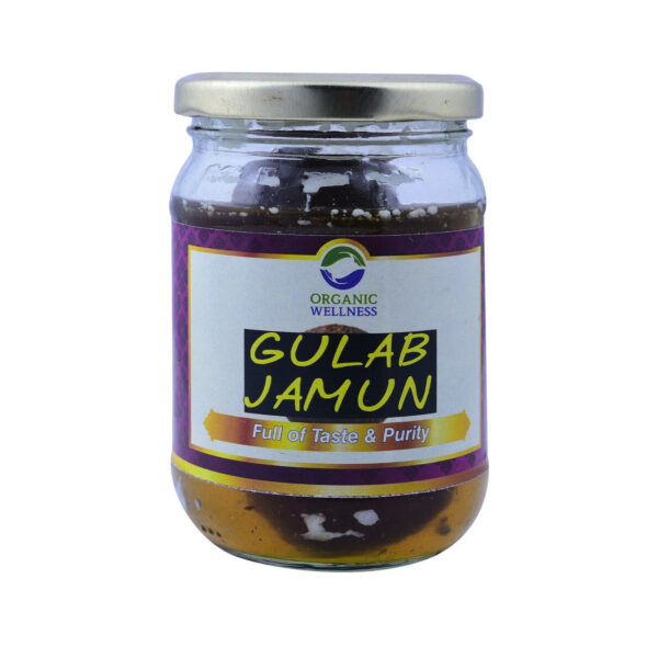 buy Organic Wellness Gulab Jamun in Delhi,India