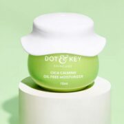 buy Dot & Key Cica Calming Oil Free Moisturizer in Delhi,India