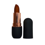 buy Dhanwantari Choco Brown Lipstick in Delhi,India